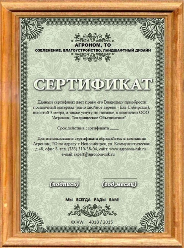 подарочный сертификат на ландшафтные работы от Агроном,ТО